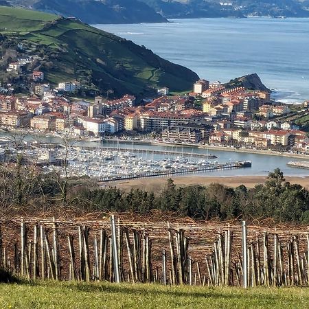 Zumaia Basque Alai公寓 外观 照片