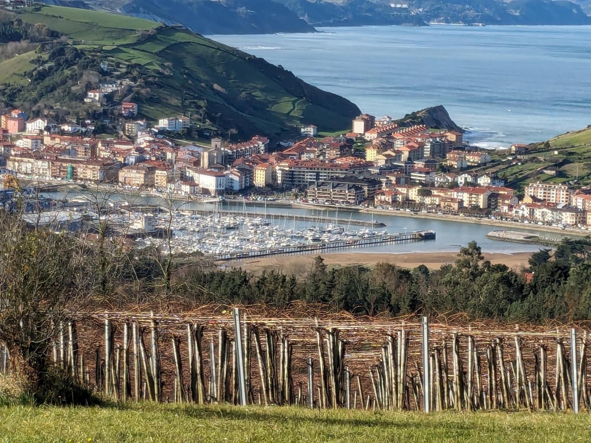 Zumaia Basque Alai公寓 外观 照片